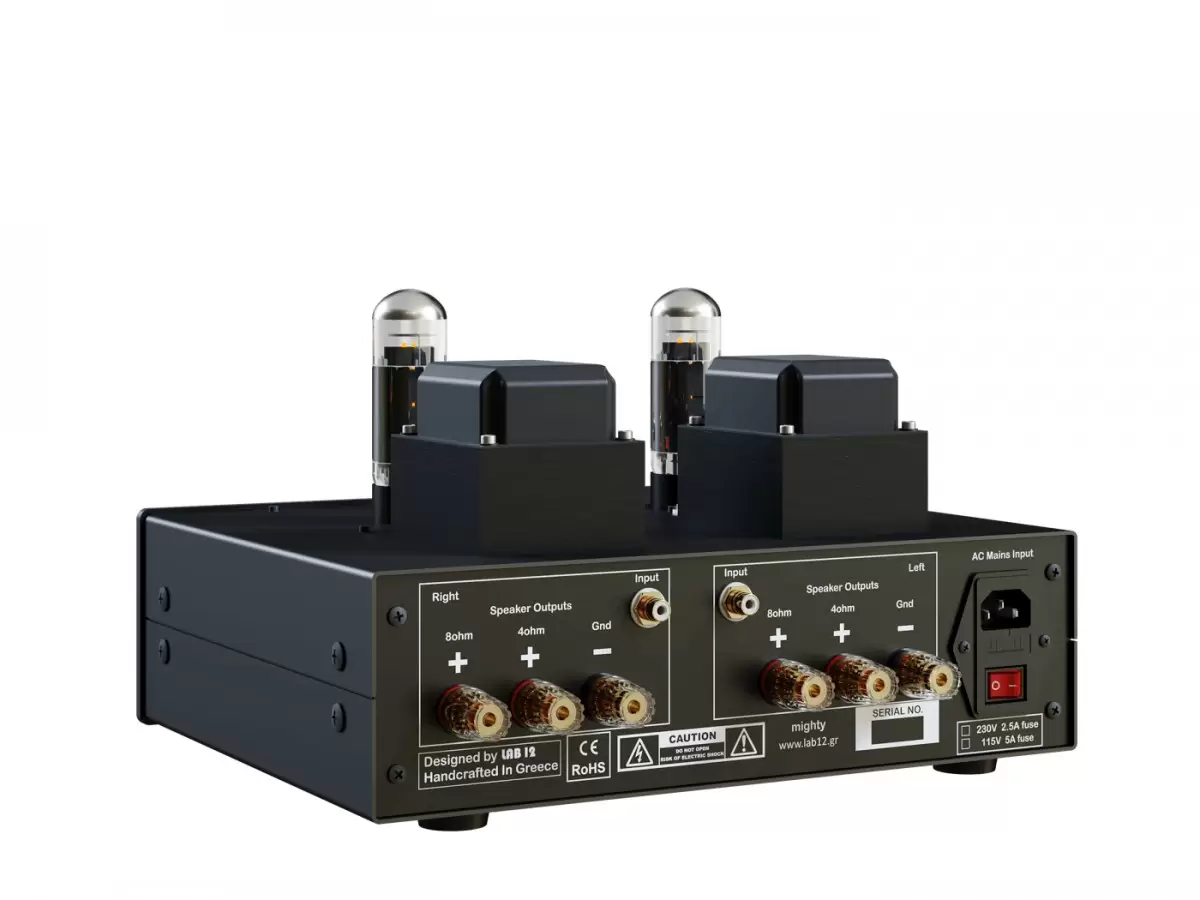 Lab12 Mighty Class A Röhren-Endstufe Rückseite Gesamtansicht