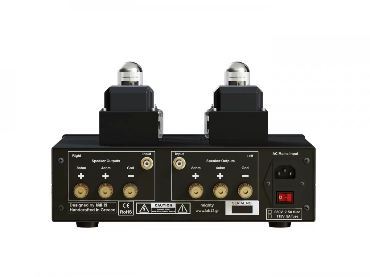 Lab12 Mighty Class A Röhren-Endstufe Anschlüsse Rückseite